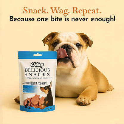 PETS EMPIRE O'Dog Fish Shape Salmon Fillet, Healthy Dog Treats, Chewy Dogs Bites for Training and Feeding, Made with Real Salmon, Non-Vegetarian Pup Snacks for Dogs, Puppies - 100g