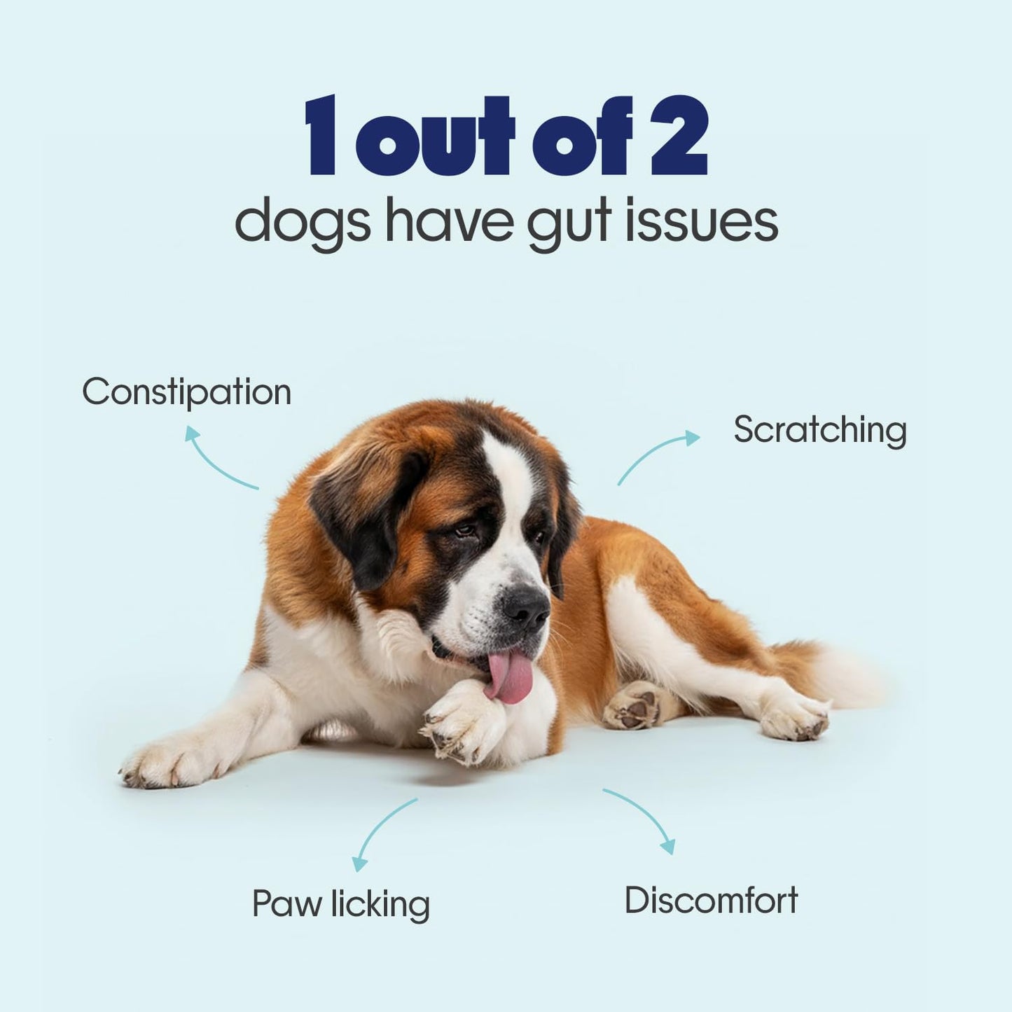 Hope Pre & Probiotics Supplement for Dogs - 30 Chicken hoplets | Paw Licking & Scratching Relief | Tasty Chews with Hing for Absolute Gut Health | Coldpressed| Air-Dried | Honest Pet Co