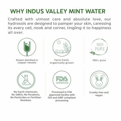Indus Valley Mint Water product description with icons and text on a white background