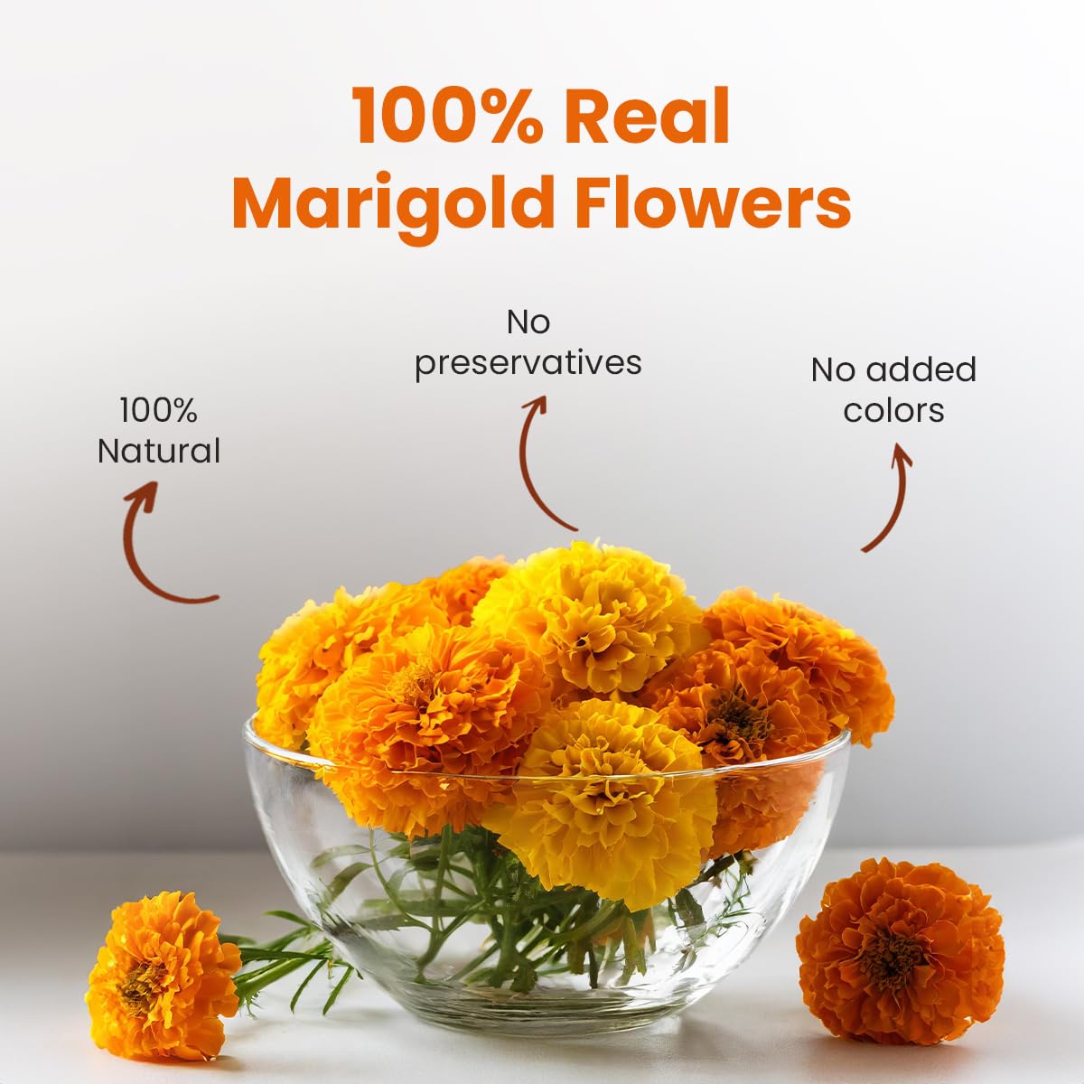 BLUE TEA - Marigold Tea - 25 gm - 25 cups | Natural Sun Dried Marigold Flower | RELIEVES PAIN | Caffeine Free - Flower Based - Herbal Tea - Non Bitter | Pet Jar