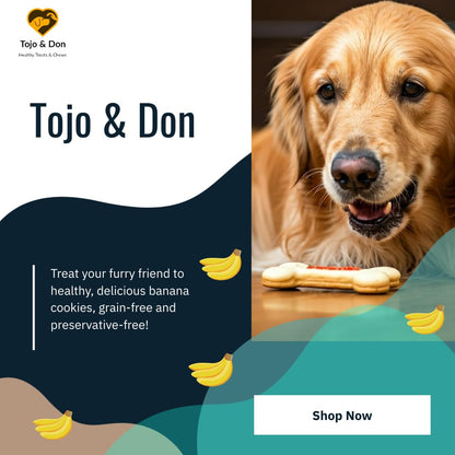 Tojo & Don Banana Cookies- for Dogs (200 GMS) No Preservatives, 100% Veg, Grain Free, Banana Cookies, Healthy Dog Treats for All Sized Dogs, Vacuum Packed, Gluten Free, High Fibre & Easy to Digest.