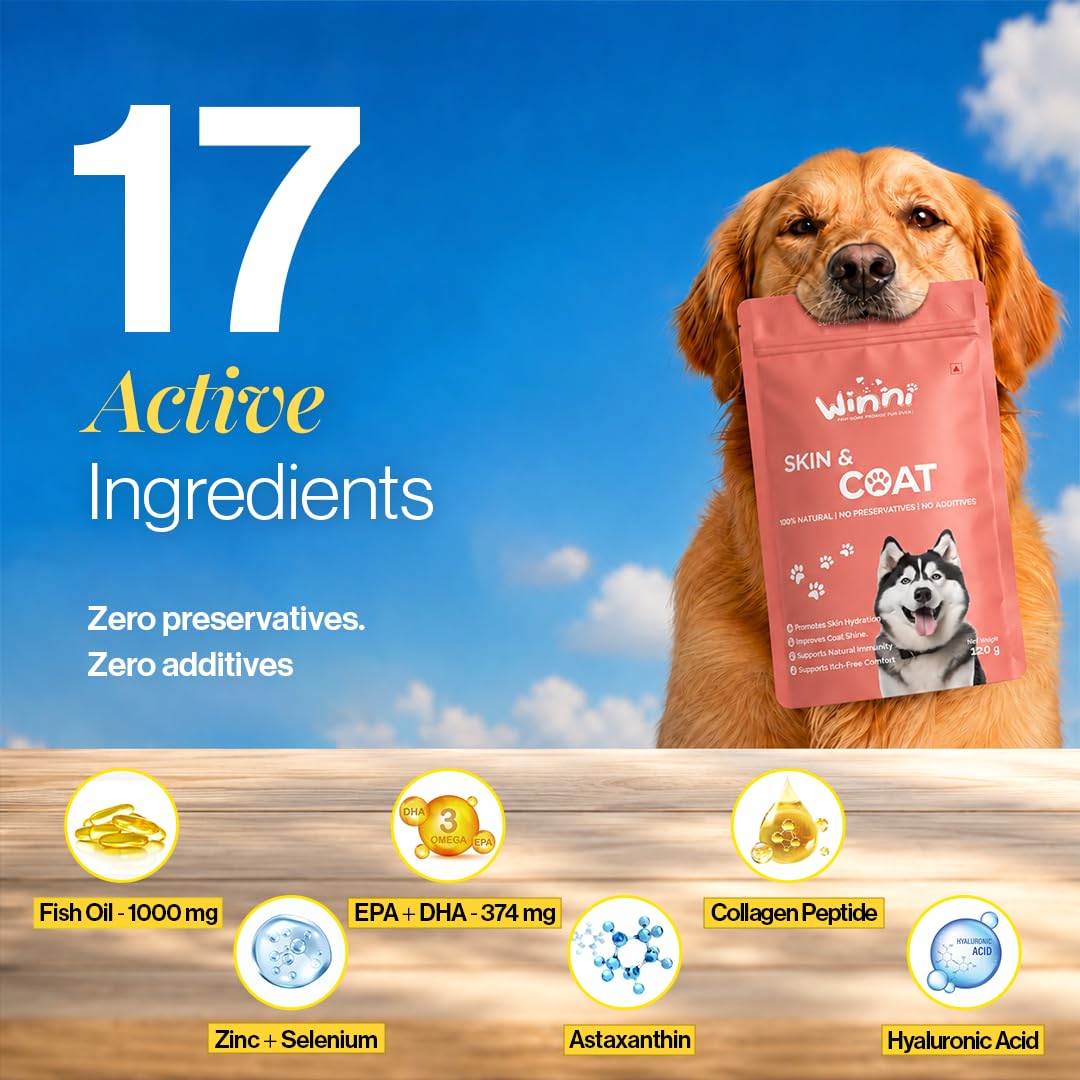 Winni Skin & Coat Supplement for Dogs | Supports Healthy Skin, Coat Shine & Natural Immunity | Chicken Flavor | Suitable for Puppies, Adult & Senior Dogs | Natural Formula | 120g