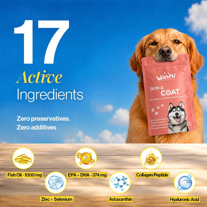 Winni Skin & Coat Supplement for Dogs | Supports Healthy Skin, Coat Shine & Natural Immunity | Chicken Flavor | Suitable for Puppies, Adult & Senior Dogs | Natural Formula | 120g