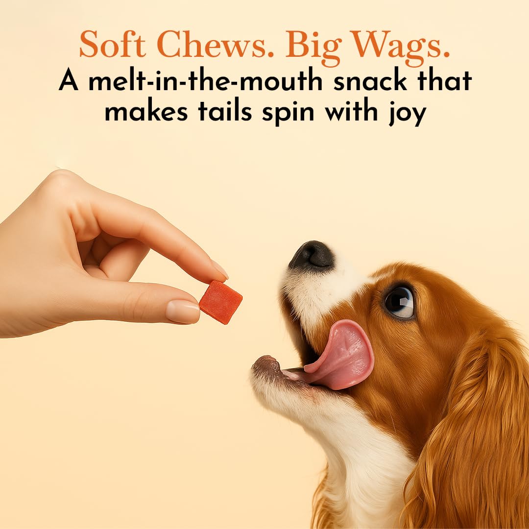 PETS EMPIRE O'Dog Chicken Soft Cubes, Healthy Dog Treats, Chewy Dogs Bites for Training and Feeding, Made with Real Chicken, Non-Vegetarian Pup Snacks for Dogs, Puppies - 100g