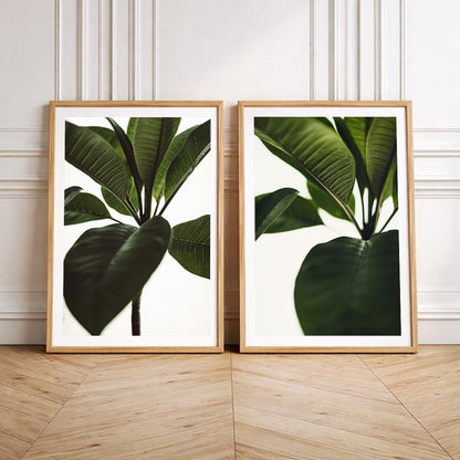 Set of 2 wall art paintings for living room & wall painting for bedroom wall decor - (10x13 Inch framed poster, Paintings for home decor)