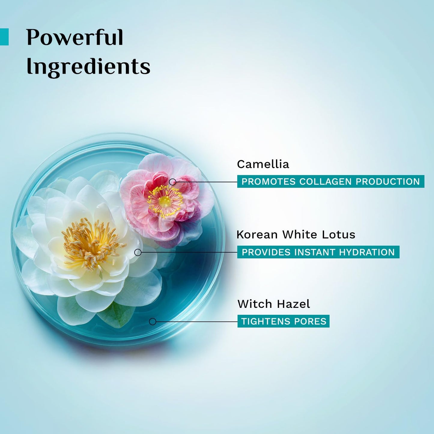 Pilgrim Korean Beauty White Lotus Refreshing Face Mist & Toner | Toner for glowing skin | Alcohol-Free Mist & toner for open pores Tightening | Korean skin care products | Women & Men | 100 ml