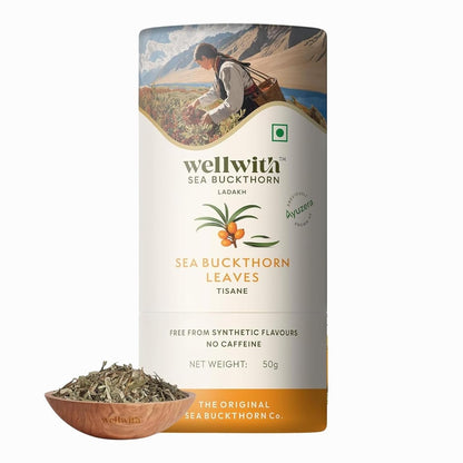 Wellwith by Ayuzera Sea Buckthorn Raw Leaves Tea, Good For Skin and Immunity, For a Healthy Lifestyle - Himalayan Herbal Tea - Pure & Natural (250g)