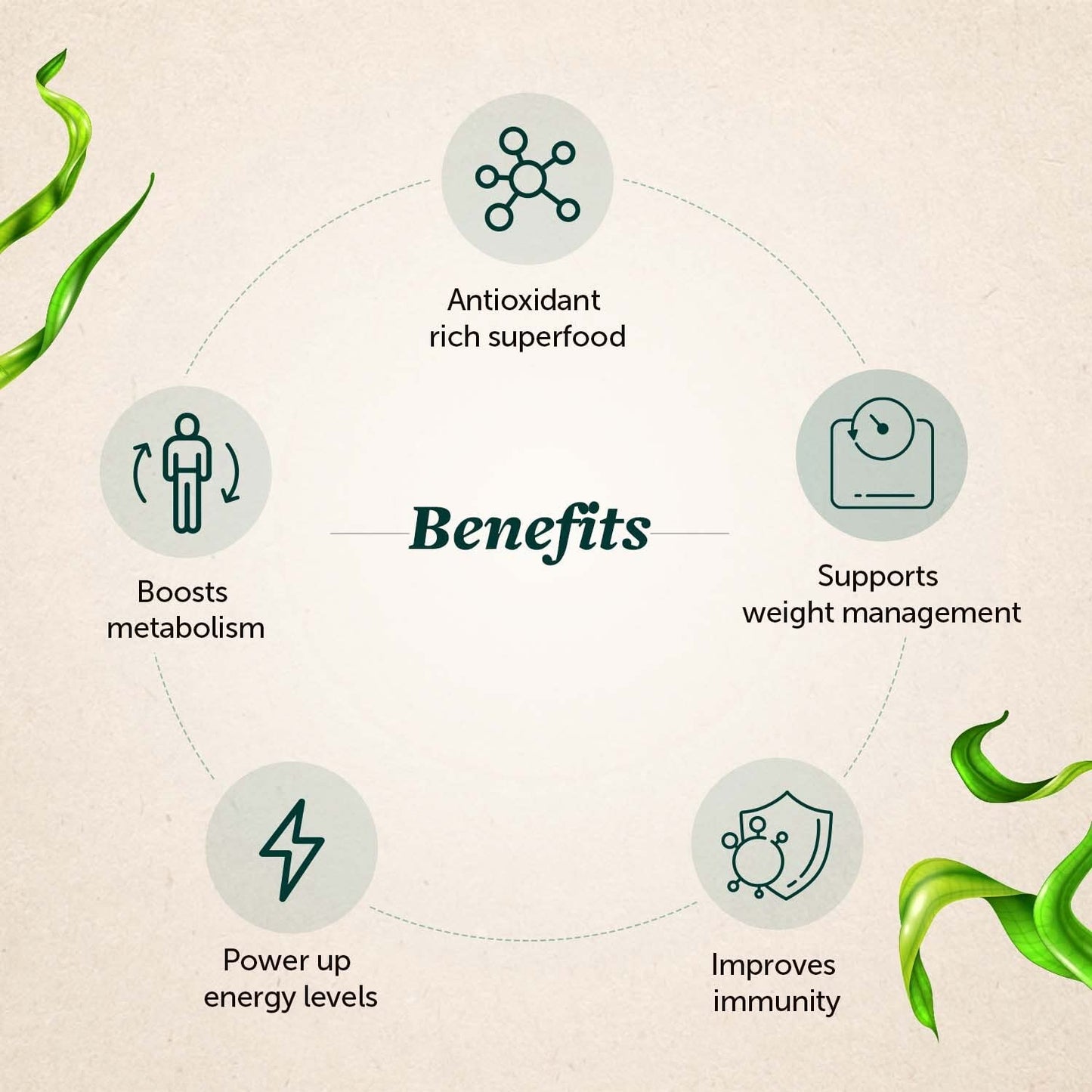 Neuherbs Spirulina 1000mg Per Serving - 120 Tablets | Boost Energy, Immunity & Metabolism | Supports Weight Management | 100% Pure & Natural