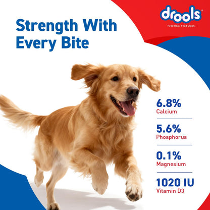 Drools Absolute Dog Supplement Treats 600g Jar (40 Pieces) | Supports Joint Health | Strengthens Teeth | Promotes Dental Cleaning | Easily Digestible | Suitable for All Life Stages (Standard)