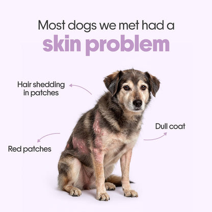 Hope Skin & Coat Supplement for Dogs 60 Chicken hoplets | Pet Chews for Skin Allergies, Itching & Scratching Relief | Biotin, Collagen, Omega 3 & 6 | Cold-Pressed| Hypoallergenic |Honest Pet Co
