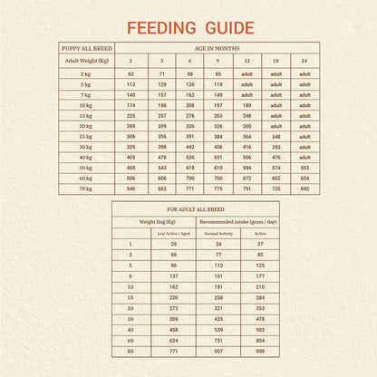 Brunos Sunburn Dry Dog Food - 250g (Pack of 1) | Duck, Turkey & Salmon | Multi-Meat Recipe | Chicken-Free |for All Life Stages | 32% Protein & 20% Fat | Supports Growth, Joints & Digestion
