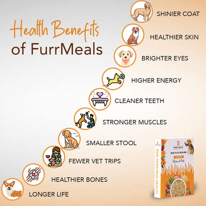 FurrMeals Wet Dog Food | Chicken and Pasta | Pack of 1 x 200g | All Breed | Gluten Free | Preservative Free | Ready-to-Eat Fresh Dog Food