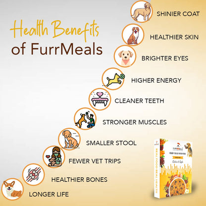 FurrMeals Wet Dog Food | Chicken and Apple | Grain Free | Pack of 1 x 300g | All Breed | Preservative Free | Ready-to-Eat Fresh Dog Food,All Life Stages