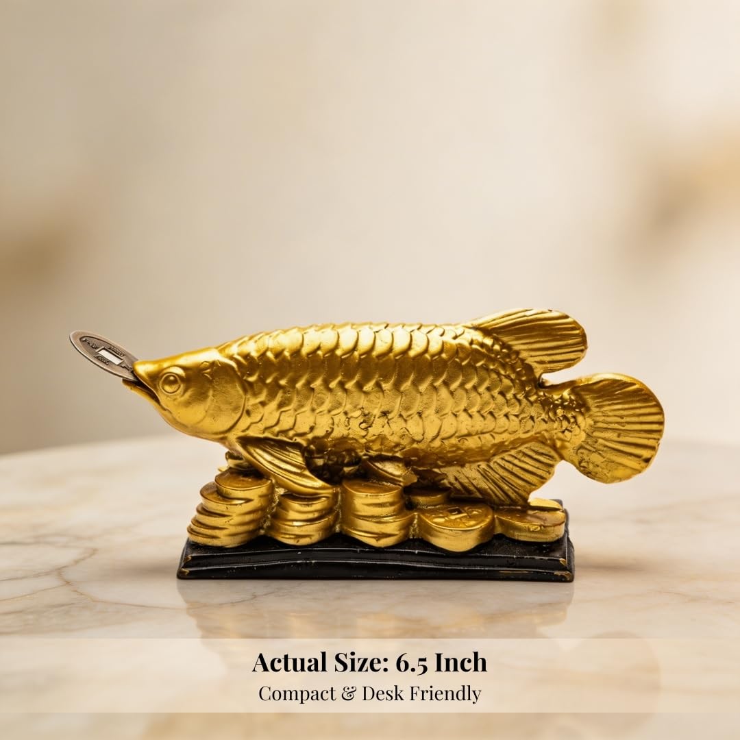 Plus Value Feng Shui Golden Arowana Fish Statue Showpiece with Coin in Mouth Wealth Symbol, Protects Mishaps, Troubles Vastu Products Home & Office Decor Decoration Gifting (Fiber)