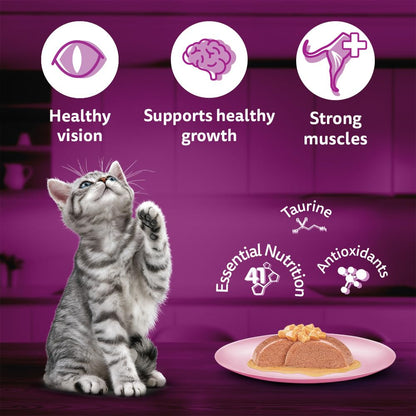 Whiskas Junior Kitten (2-12 Months) Wet Cat Food, Salmon in Jelly Flavour, 80 g, Hydrating Food Made with Real Fish, 100% Complete & Balanced Nutrition for Kittens