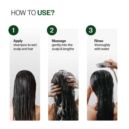 Bare Anatomy Anti-Dandruff Shampoo | Up To 100% Dandruff Reduction | ZPTO-Free | pH 5.3 | Salicylic Acid, Piroctone Olamine, Biotin & Menthol | Non-Drying Formula | Suitable for Men & Women | 250 ml