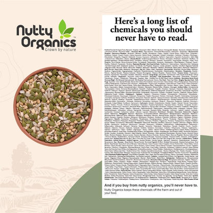 Nutty Organics 7-in-1 Seeds & Nuts Mix| Omega-Rich Superfood | Roasted Pumpkin, Sunflower, Watermelon, Flax, Sesame, Chia & Soya | Healthy Snack | Vegan & Gluten-Free