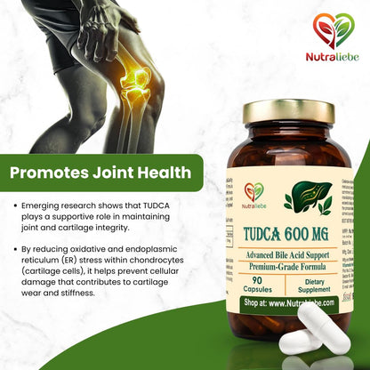 Nutraliebe TUDCA 600 mg – Tauroursodeoxycholic Acid | Advanced Liver & Gallbladder Support | Cellular Detox, Bile Flow & Antioxidant Protection | 90 Vegetarian Capsules | Non-GMO, Gluten-Free, GMP-Certified