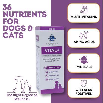 PET360 Vital+ Advanced Wellness Formula | Daily Multivitamin Syrup | Healthy Skin, Joints, Immunity & Growth | Nutritional Supplement for Dogs & Cats- 200 ml