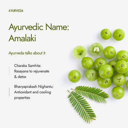 Kapiva Organic Amla Powder | Supports Healthy Hair | Promotes Gut Health | From 100% Natural Amlas