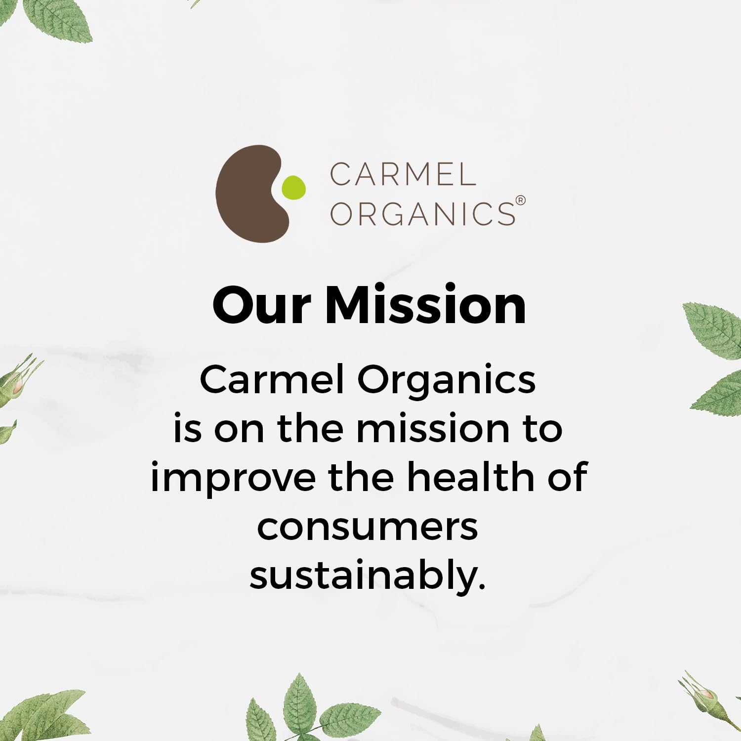 Carmel Organics mission statement with brand logo on a light background