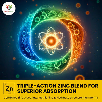 Nutraliebe Zinc Complex with Copper – High Absorption Zinc Gluconate, Methionine & Picolinate – Balanced Mineral Support for Immune Health, Skin, Hair & Cellular Function – 90 Vegetarian Capsules