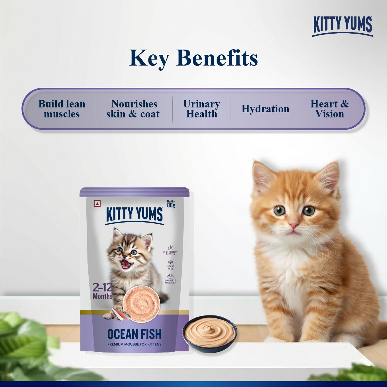 Kitty Yums Kitten Wet Mousse 80g | Ocean Fish | Rich in Protein | Promotes Hydration & Easy to Digest | Grain Free | No Artificial Flavours |Packed with Essential Vitamins & Antioxidants