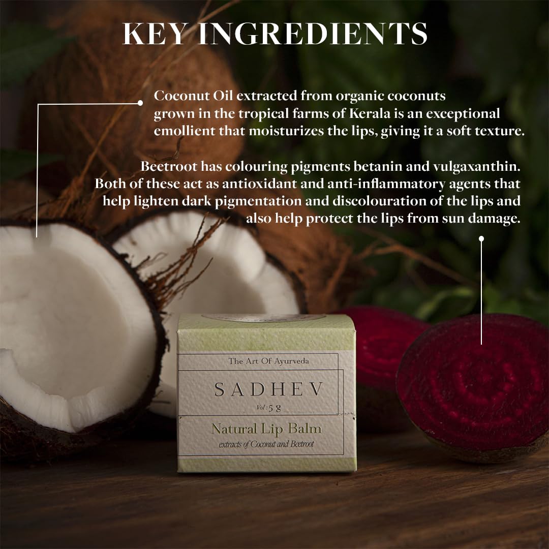 Sadhev Ayurvedic Natural Lip Balm With Beetroot & Coconut Oil | Mildly Tinted Moisturizer | Softens Dry Chapped & Pigmented Lips All Day (5 gm)