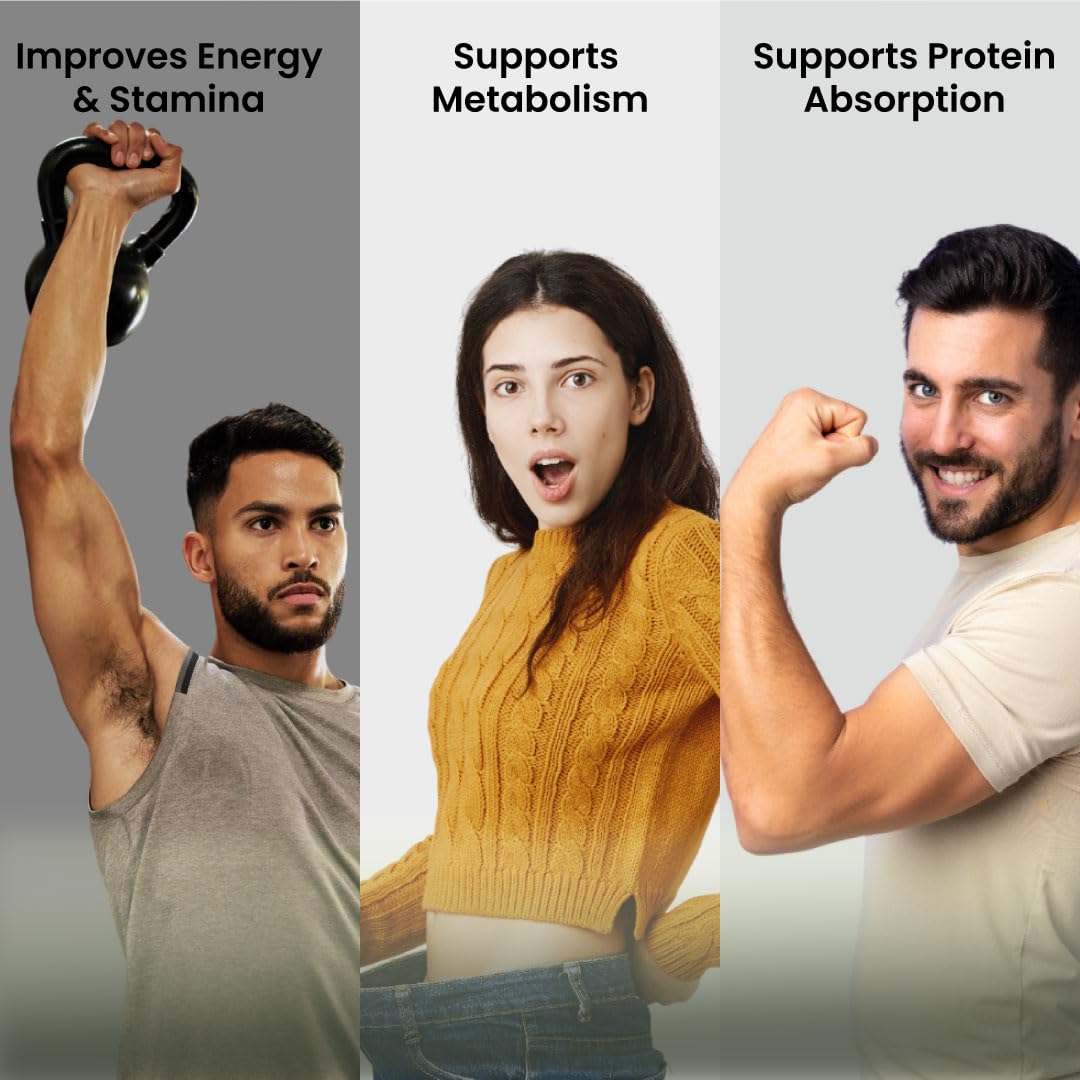 ZEROHARM Ashwagandha Probiotic Supplement | Prebiotics for Gut Health, Stress Balance, Muscle Support & Protein Absorption | 100 Billion CFU, Psyllium Husk | For Men & Women | 60 Veg Capsules