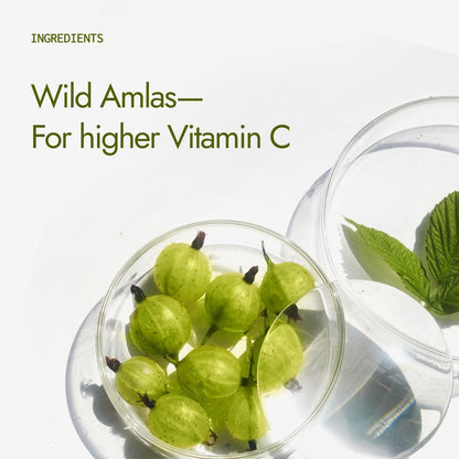 Kapiva Organic Amla Powder | Supports Healthy Hair | Promotes Gut Health | From 100% Natural Amlas