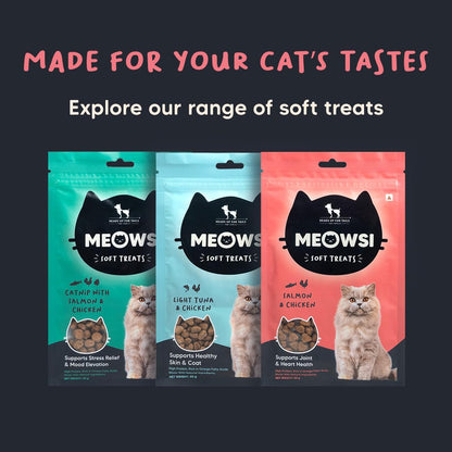 Meowsi by HUFT Soft Cat Treats – Salmon & Chicken – 50 gm | Tasty & Juicy Treats for Kittens & Adult Cats | Rich in Protein | for Persian Cats & All Breeds | Grain-Free Bites