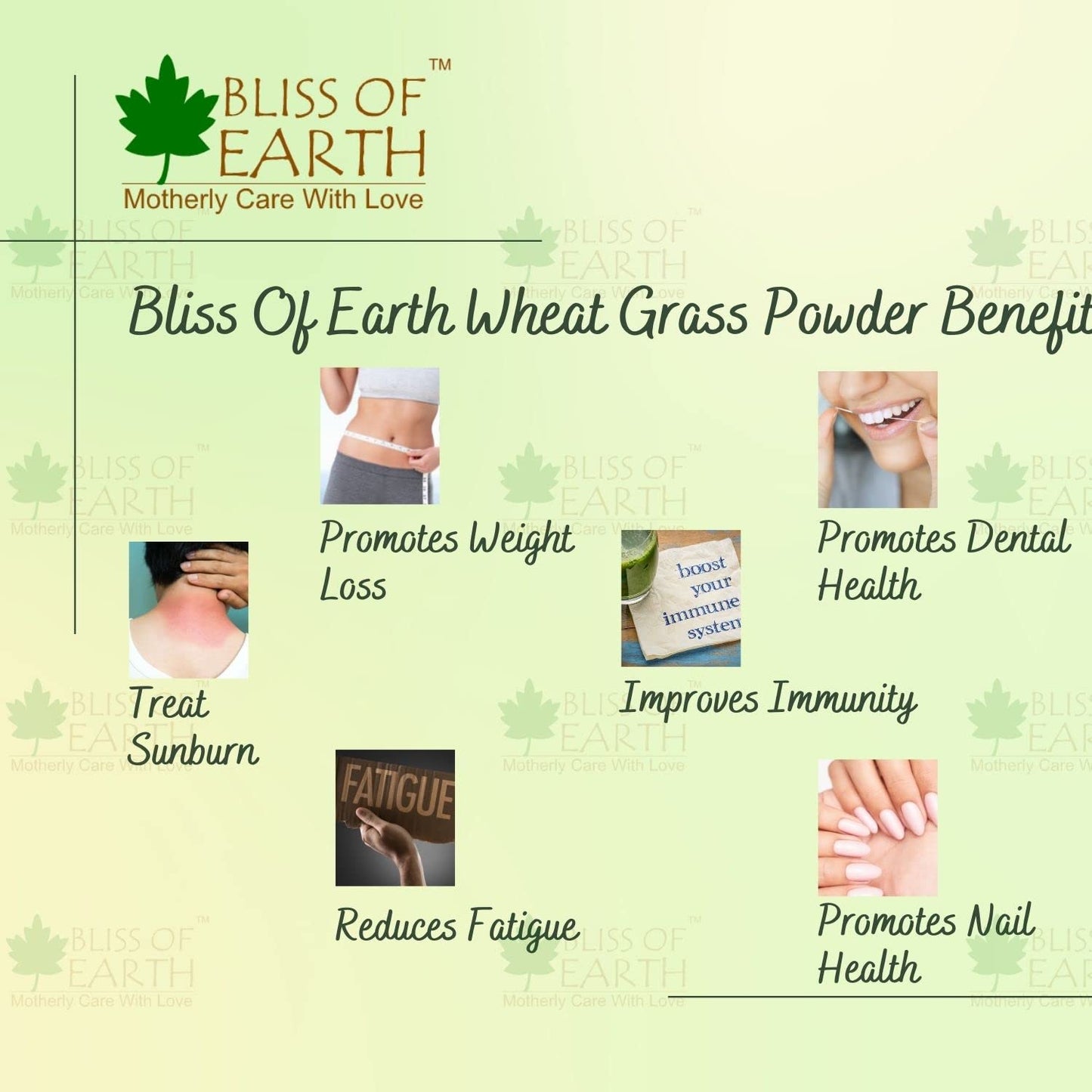 Bliss of Earth Organic Wheatgrass Powder 33 Servings Super food Dietary Supplement Rich in Vit A & B | Non GMO | Gluten Free 100 GM