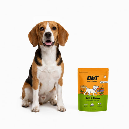 Dogs & Tiddles Carrot & Real Chicken Dog Treats for Puppies & Adult Dogs, 100g | Soft & Chewy Puppy Treats | Tasty Training Treats and Dog Snacks|Supports Digestion & Muscle Health