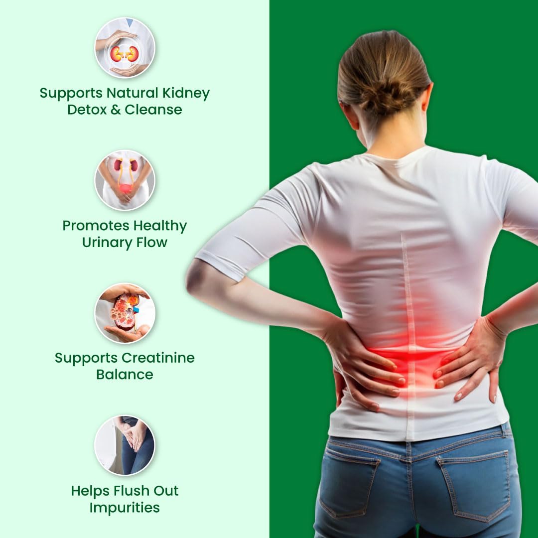 ZEROHARM Holo Kidney Detox | Herbal Creatinine & Kidney Support with Varuna, Punarnava,Pathachata | Kidney Detox & Cleanse for Men & Women | Nano Formulated Ayurvedic Health Supplement - 60 Tablets