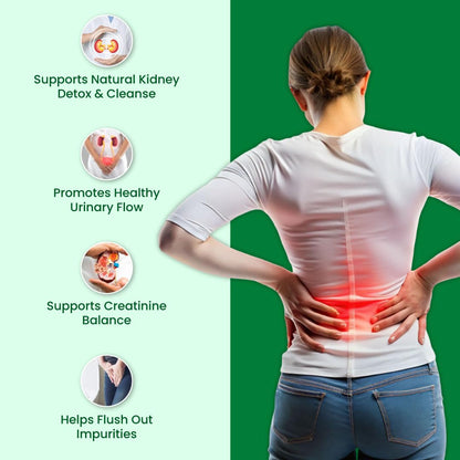 ZEROHARM Holo Kidney Detox | Herbal Creatinine & Kidney Support with Varuna, Punarnava,Pathachata | Kidney Detox & Cleanse for Men & Women | Nano Formulated Ayurvedic Health Supplement - 60 Tablets