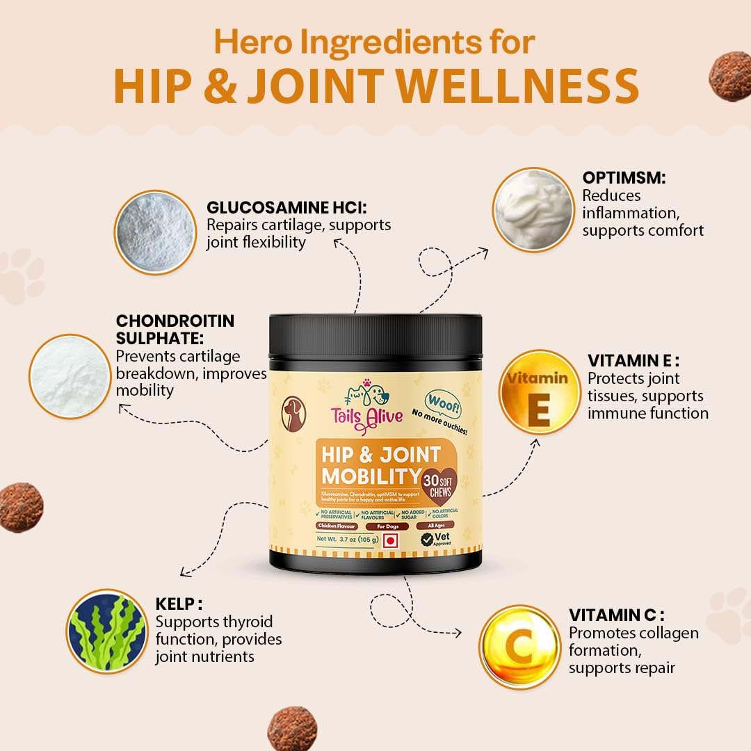 TailsAlive Hip & Joint Soft Chews Supplement for Dogs | Glucosamine, Chondroitin, MSM| for Mobility & Flexibility | Chicken Flavor | 30 Soft Chews