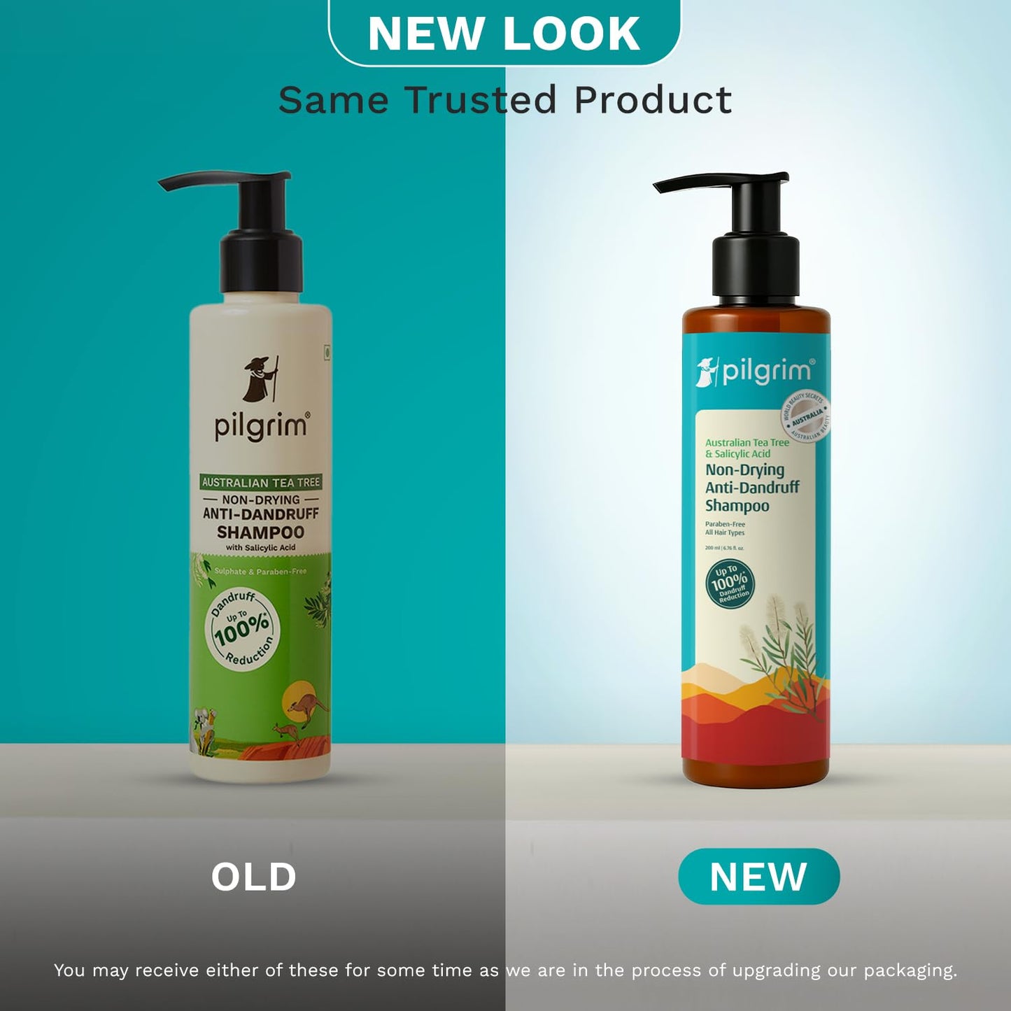 Pilgrim Australian Tea Tree Non-Drying Anti-Dandruff Shampoo 200 ml | Removes Dandruff from Source | Helps with Itching, Irritation | Strong & Smooth Hair | For Men & Women |