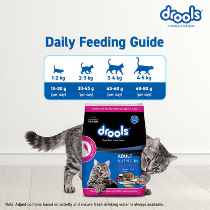 Drools Adult Dry Cat Food 1.2kg Pack | Mackerel Flavour | Enriched with Essential Nutrients | Supports Skin & Coat | Complete Nutrition | Aids Digestion | Promotes Growth
