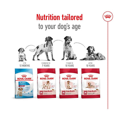 Royal Canin Medium Adult Dog Food, Dry Food, Provides Muscle Mass, Supports Complex Natural Defense & Optimal Health Support, 1 Kg