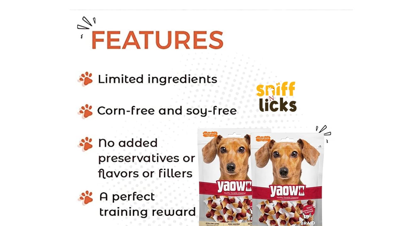 Gnawlers Yaowo Braided Dog Treats (2.5 inch) 500g (Pack of 1) By Sniff N Licks
