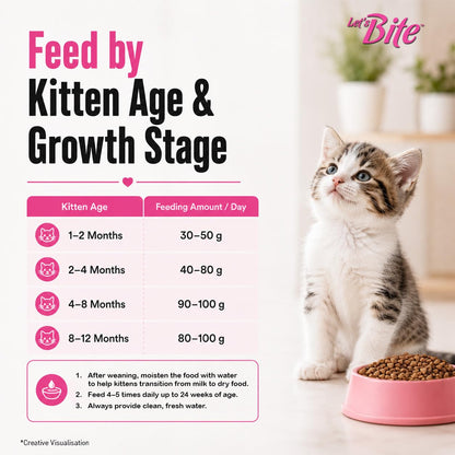 Let's Bite Active Kitten Dry Cat Food, 400 gm Pack