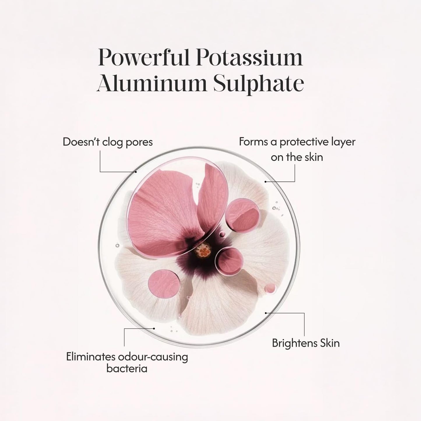 Phitku Crystal Roll On with Rose Extract | Natural Alum | Brightens Dark Underarms, Controls Body Odour | Fragrance-Free & Alcohol Free | Men & Women | 100g