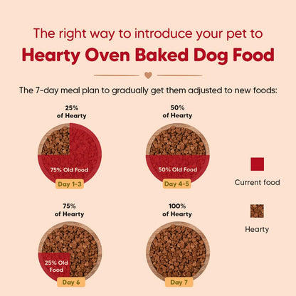 Hearty by HUFT Puppy Dry Food | Oven-Baked Chicken & Fish, All Breeds - 250 gm | Complete & Balanced Food for Puppy | No Corn, Soy, GMO or Added Flavours | Farm-Fresh Ingredients