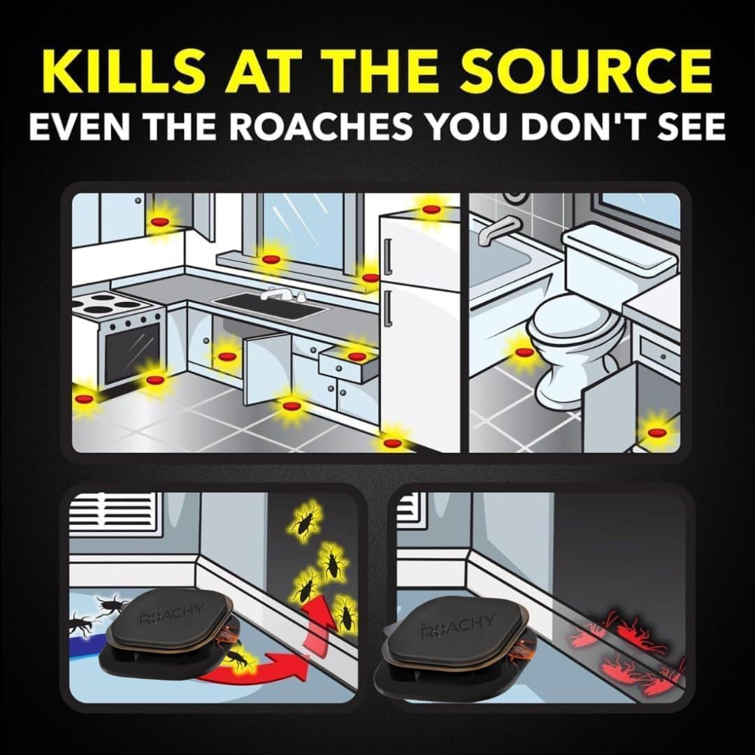 Noroachy Natural Cockroach Killer Bait for Kitchen, Bathrooms & Cabinets, Outdoor & Indoor - All in One Solution (12 Bait)