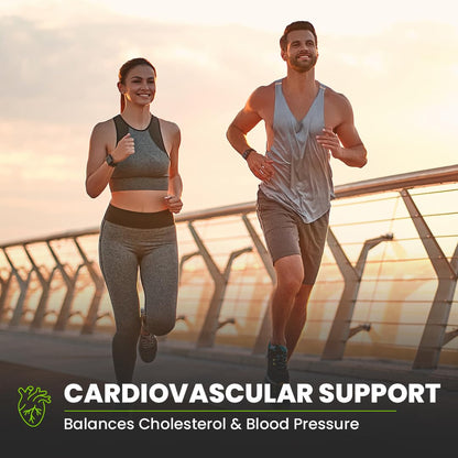 Two people running on a bridge with text about cardiovascular support.