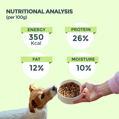 FURRMATE Veg Dry Dog Food, 26% Protein, Complete & Balanced Vegetarian Kibble, Suitable for All Breeds (200g)
