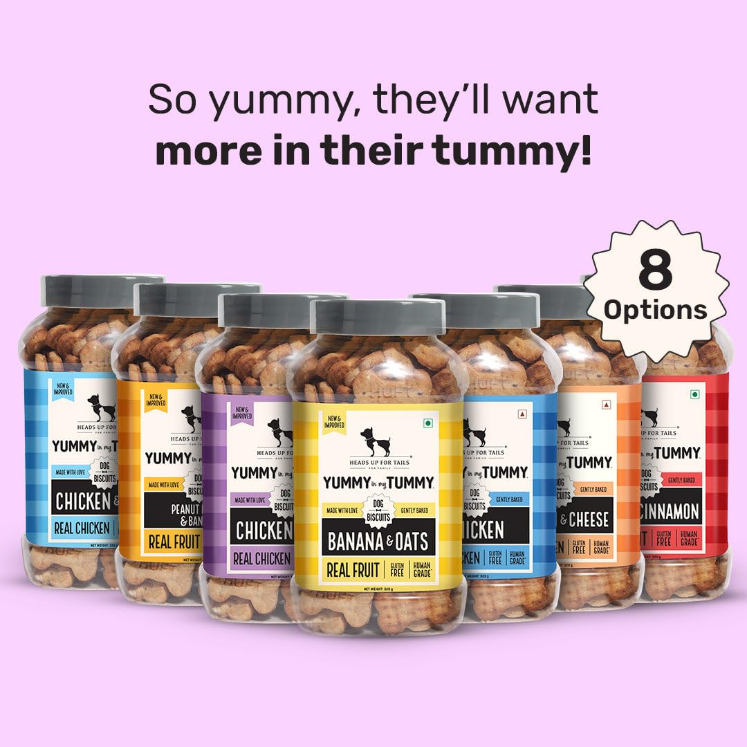 Yummy in My Tummy by HUFT Chicken Liver Dog Biscuits – 320 gm | Crunchy & Healthy Treats for Dogs | High-Protein Snack | Ideal Training Treat | Suitable for All Life Stages & Breeds Dogs
