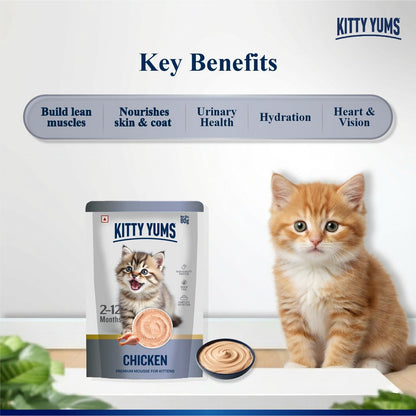 Kitty Yums Kitten Wet Mousse 80g | Chicken | Rich in Protein | Promotes Hydration & Easy to Digest | Grain Free | No Artificial Flavours | Packed with Essential Vitamins & Antioxidants