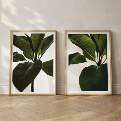 Set of 2 wall art paintings for living room & wall painting for bedroom wall decor - (10x13 Inch framed poster, Paintings for home decor)