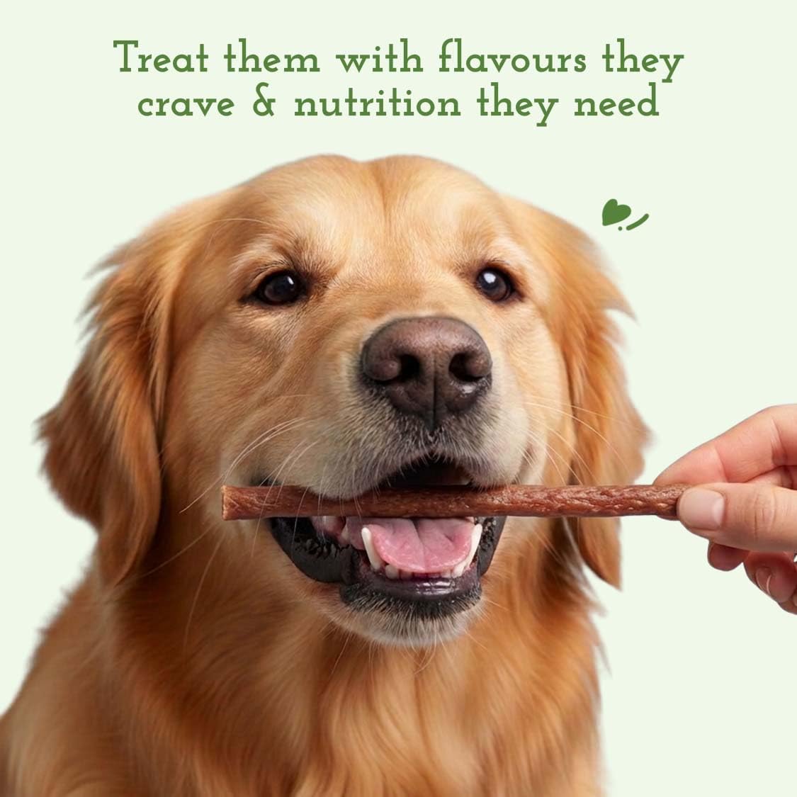 PETS EMPIRE BARKBITES Chicken & Spinach Dog Chew Sticks | Healthy Grain-Free Dog Treats | High Protein + Fiber Rich Training Snacks | Soft Chews for Puppies & Adult Dogs | 100g